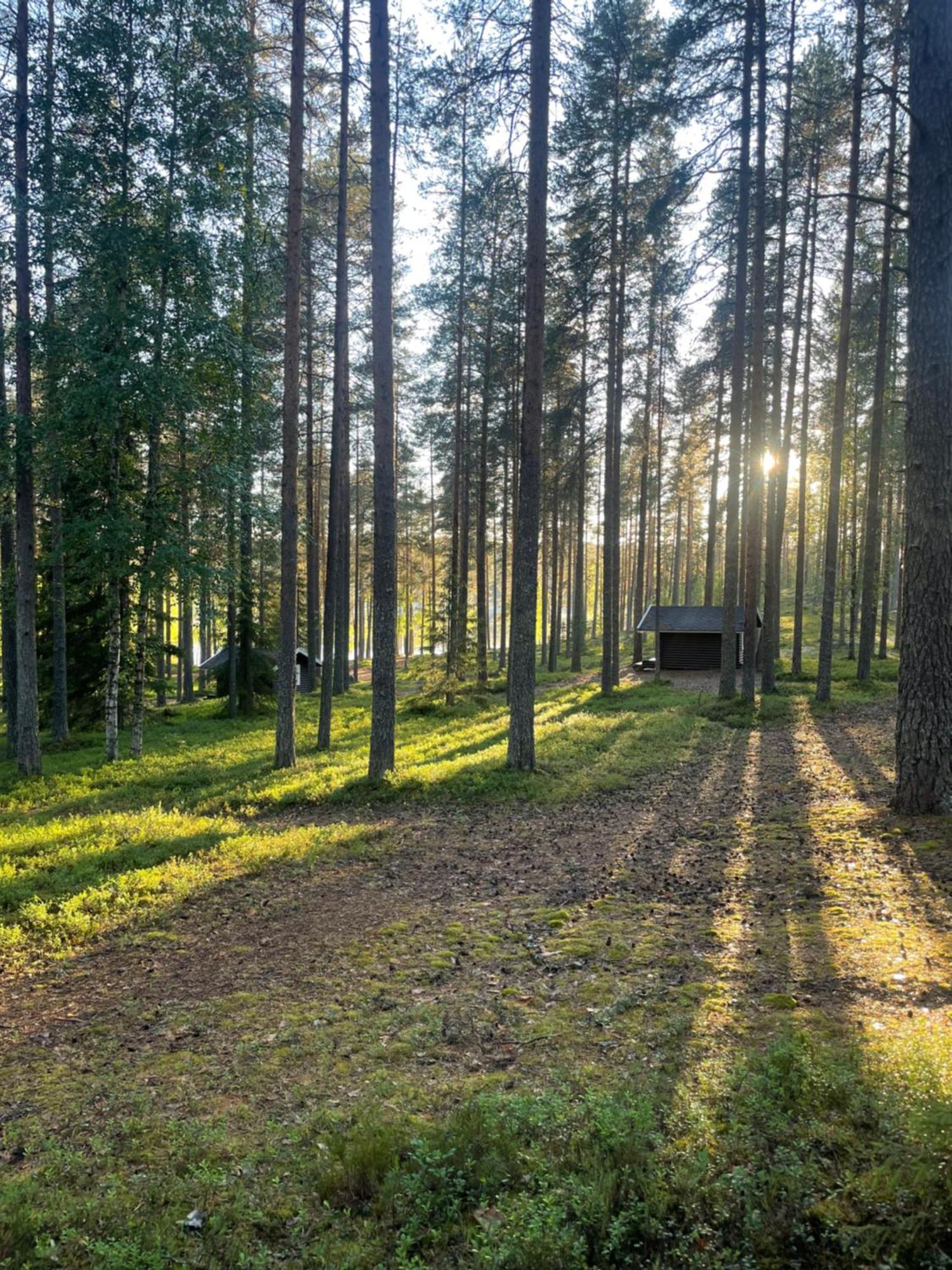 ホテル Laahtanen Camping Ristijärvi エクステリア 写真