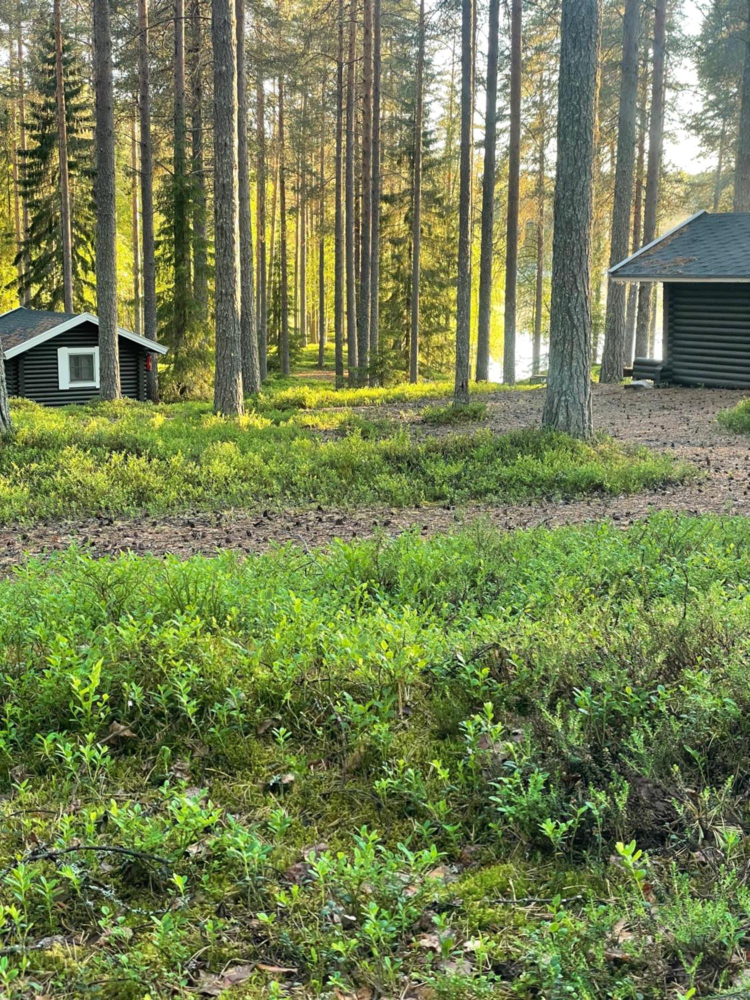 ホテル Laahtanen Camping Ristijärvi エクステリア 写真