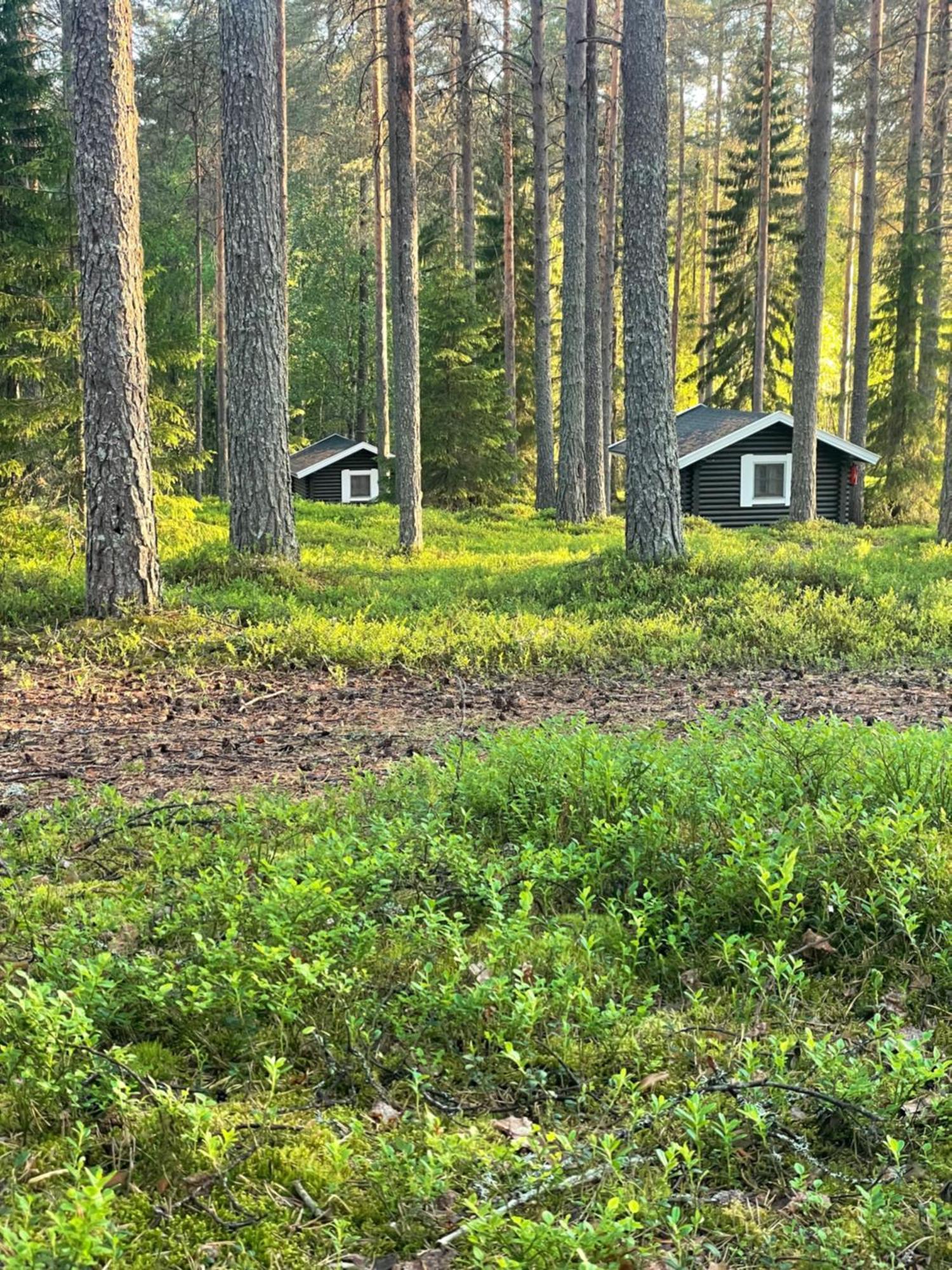 ホテル Laahtanen Camping Ristijärvi エクステリア 写真