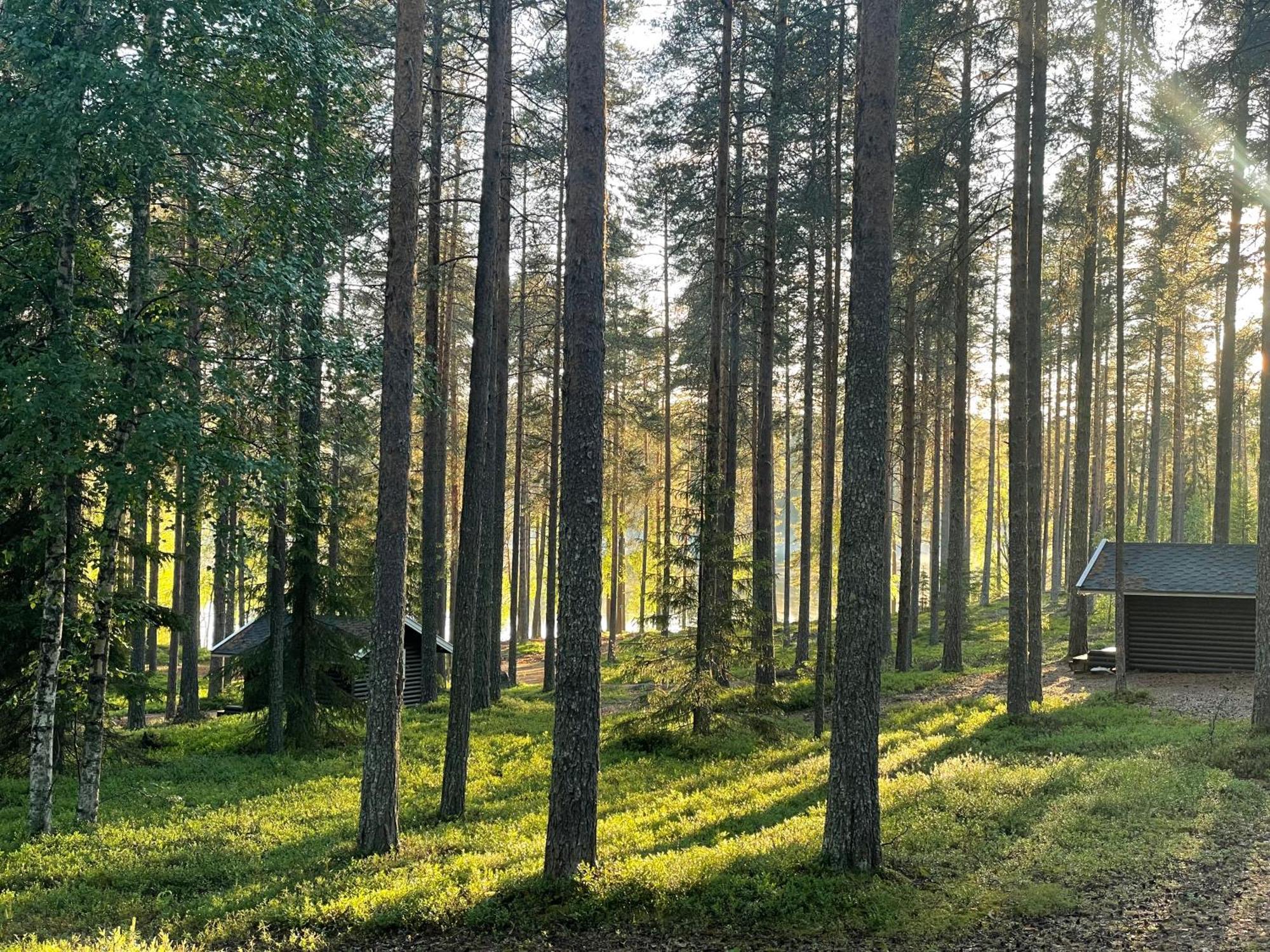 ホテル Laahtanen Camping Ristijärvi エクステリア 写真