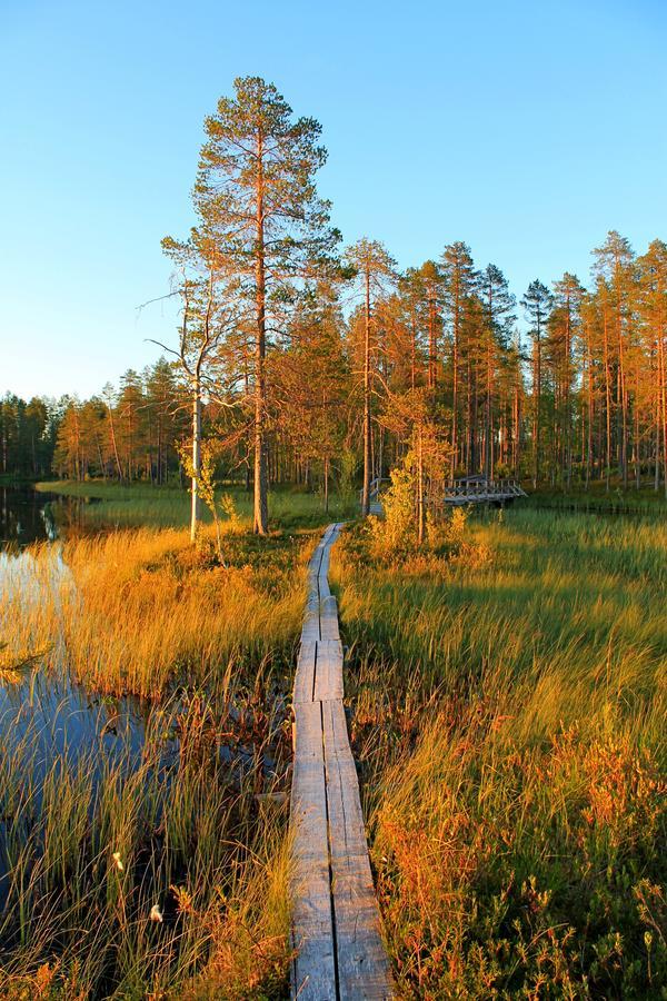 ホテル Laahtanen Camping Ristijärvi エクステリア 写真